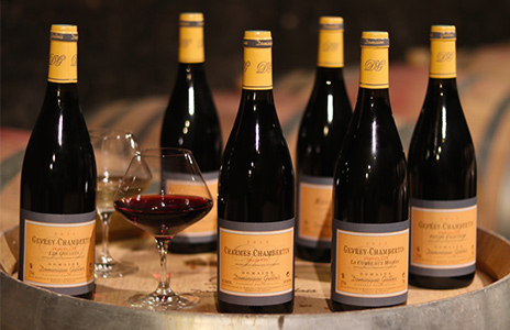 vins-millesimes-bourgognes-gevrey-chambertin-domaine-gallois