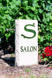 p_salon4